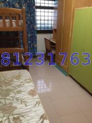 Blk 837 Hougang Central (Hougang), HDB 5 Rooms #11071452